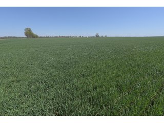 Property photo 69 - LAND AUCTION - 492+/- ACRES OFFERED IN 7 TRACTS IN SULLIVAN & KNOX COUNTIES, INDIANA