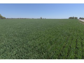 Property photo 70 - LAND AUCTION - 492+/- ACRES OFFERED IN 7 TRACTS IN SULLIVAN & KNOX COUNTIES, INDIANA