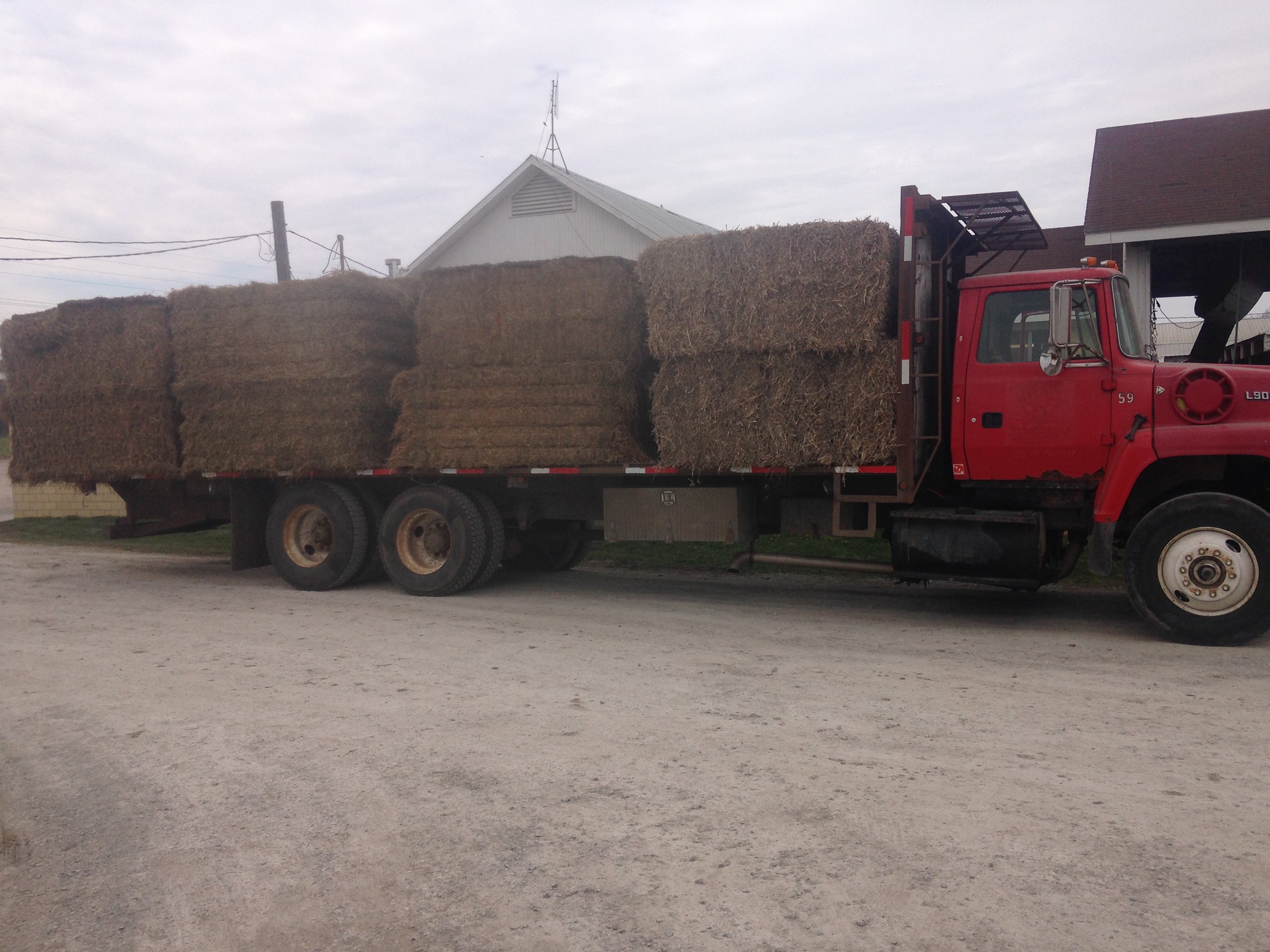 Property photo 135 - ABSOLUTE & WITHOUT RESERVE PLATO CONSIGNMENT AUCTION IN LAGRANGE CO., INDIANA