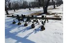 Property photo 190 - FARM EQUIPMENT AUCTION IN BRANCH COUNTY, MICHIGAN