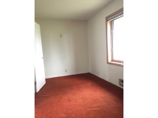 Property photo 45 - REAL ESTATE AUCTION IN STEUBEN COUNTY, INDIANA