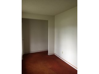 Property photo 46 - REAL ESTATE AUCTION IN STEUBEN COUNTY, INDIANA
