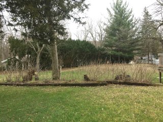 Property photo 24 - REAL ESTATE AUCTION IN STEUBEN COUNTY, INDIANA