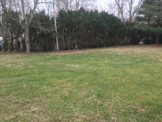 Property photo 29 - REAL ESTATE AUCTION IN STEUBEN COUNTY, INDIANA