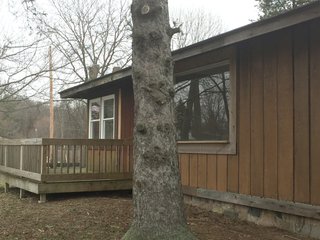Property photo 19 - REAL ESTATE AUCTION IN STEUBEN COUNTY, INDIANA
