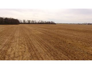 Property photo 1 - OHIO REAL ESTATE AUCTION - 202+/- ACRES IN 3 TRACTS IN VAN WERT COUNTY, OHIO
