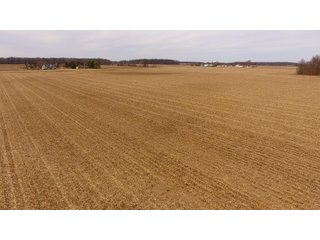 Property photo 11 - OHIO REAL ESTATE AUCTION - 202+/- ACRES IN 3 TRACTS IN VAN WERT COUNTY, OHIO