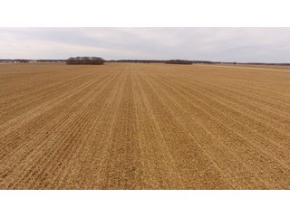 Property photo 12 - OHIO REAL ESTATE AUCTION - 202+/- ACRES IN 3 TRACTS IN VAN WERT COUNTY, OHIO