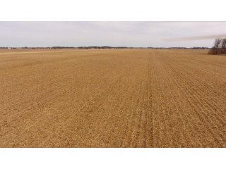 Property photo 13 - OHIO REAL ESTATE AUCTION - 202+/- ACRES IN 3 TRACTS IN VAN WERT COUNTY, OHIO