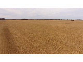 Property photo 15 - OHIO REAL ESTATE AUCTION - 202+/- ACRES IN 3 TRACTS IN VAN WERT COUNTY, OHIO
