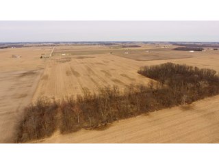 Property photo 2 - OHIO REAL ESTATE AUCTION - 202+/- ACRES IN 3 TRACTS IN VAN WERT COUNTY, OHIO