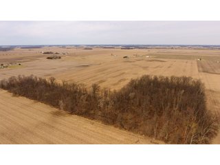Property photo 3 - OHIO REAL ESTATE AUCTION - 202+/- ACRES IN 3 TRACTS IN VAN WERT COUNTY, OHIO
