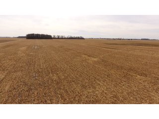 Property photo 6 - OHIO REAL ESTATE AUCTION - 202+/- ACRES IN 3 TRACTS IN VAN WERT COUNTY, OHIO