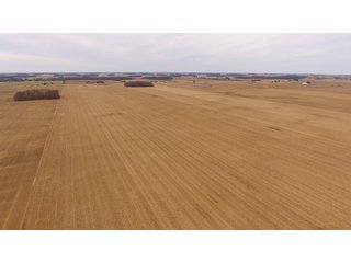 Property photo 8 - OHIO REAL ESTATE AUCTION - 202+/- ACRES IN 3 TRACTS IN VAN WERT COUNTY, OHIO
