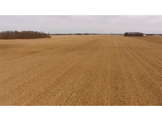 Property photo 9 - OHIO REAL ESTATE AUCTION - 202+/- ACRES IN 3 TRACTS IN VAN WERT COUNTY, OHIO