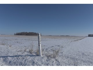 Property photo 62 - OHIO REAL ESTATE AUCTION - 202+/- ACRES IN 3 TRACTS IN VAN WERT COUNTY, OHIO