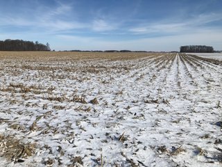 Property photo 50 - OHIO REAL ESTATE AUCTION - 202+/- ACRES IN 3 TRACTS IN VAN WERT COUNTY, OHIO