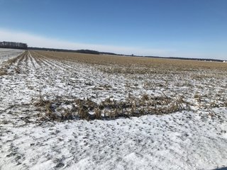 Property photo 51 - OHIO REAL ESTATE AUCTION - 202+/- ACRES IN 3 TRACTS IN VAN WERT COUNTY, OHIO