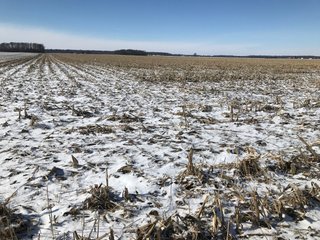 Property photo 47 - OHIO REAL ESTATE AUCTION - 202+/- ACRES IN 3 TRACTS IN VAN WERT COUNTY, OHIO