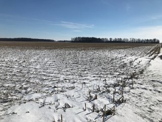 Property photo 41 - OHIO REAL ESTATE AUCTION - 202+/- ACRES IN 3 TRACTS IN VAN WERT COUNTY, OHIO