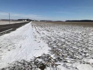 Property photo 37 - OHIO REAL ESTATE AUCTION - 202+/- ACRES IN 3 TRACTS IN VAN WERT COUNTY, OHIO