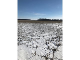 Property photo 39 - OHIO REAL ESTATE AUCTION - 202+/- ACRES IN 3 TRACTS IN VAN WERT COUNTY, OHIO