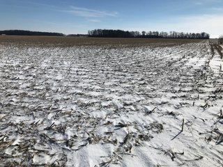 Property photo 43 - OHIO REAL ESTATE AUCTION - 202+/- ACRES IN 3 TRACTS IN VAN WERT COUNTY, OHIO