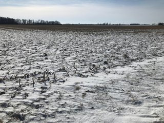 Property photo 40 - OHIO REAL ESTATE AUCTION - 202+/- ACRES IN 3 TRACTS IN VAN WERT COUNTY, OHIO