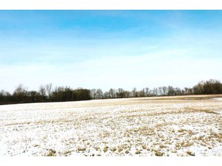 Property photo 10 - LAND AUCTION - 224.28+/- ACRES IN 5 TRACTS IN PULASKI CO., INDIANA