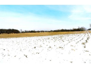 Property photo 9 - LAND AUCTION - 224.28+/- ACRES IN 5 TRACTS IN PULASKI CO., INDIANA