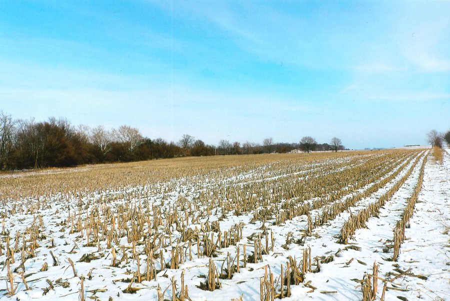 LAND AUCTION - 224.28+/- ACRES IN 5 TRACTS IN PULASKI CO., INDIANA