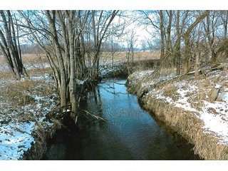 Property photo 1 - LAND AUCTION - 224.28+/- ACRES IN 5 TRACTS IN PULASKI CO., INDIANA