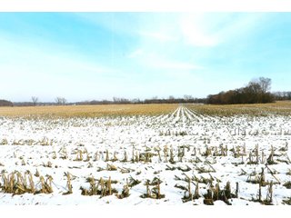 Property photo 6 - LAND AUCTION - 224.28+/- ACRES IN 5 TRACTS IN PULASKI CO., INDIANA