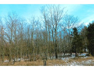 Property photo 2 - LAND AUCTION - 224.28+/- ACRES IN 5 TRACTS IN PULASKI CO., INDIANA