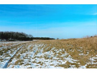 Property photo 7 - LAND AUCTION - 224.28+/- ACRES IN 5 TRACTS IN PULASKI CO., INDIANA