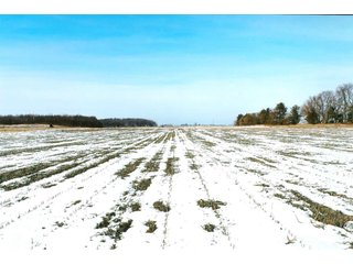 Property photo 5 - LAND AUCTION - 224.28+/- ACRES IN 5 TRACTS IN PULASKI CO., INDIANA