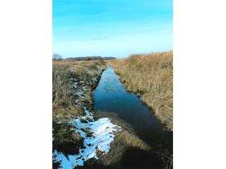 Property photo 8 - LAND AUCTION - 224.28+/- ACRES IN 5 TRACTS IN PULASKI CO., INDIANA