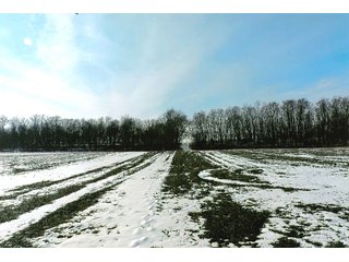 Property photo 3 - LAND AUCTION - 224.28+/- ACRES IN 5 TRACTS IN PULASKI CO., INDIANA