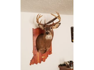 Property photo 27 - REAL ESTATE AUCTION - 366+/- ACRES OFFERED IN 5 TRACTS IN WESTERN JEFFERSON COUNTY, INDIANA