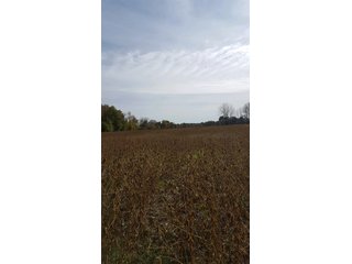 Property photo 11 - REAL ESTATE AUCTION - 366+/- ACRES OFFERED IN 5 TRACTS IN WESTERN JEFFERSON COUNTY, INDIANA