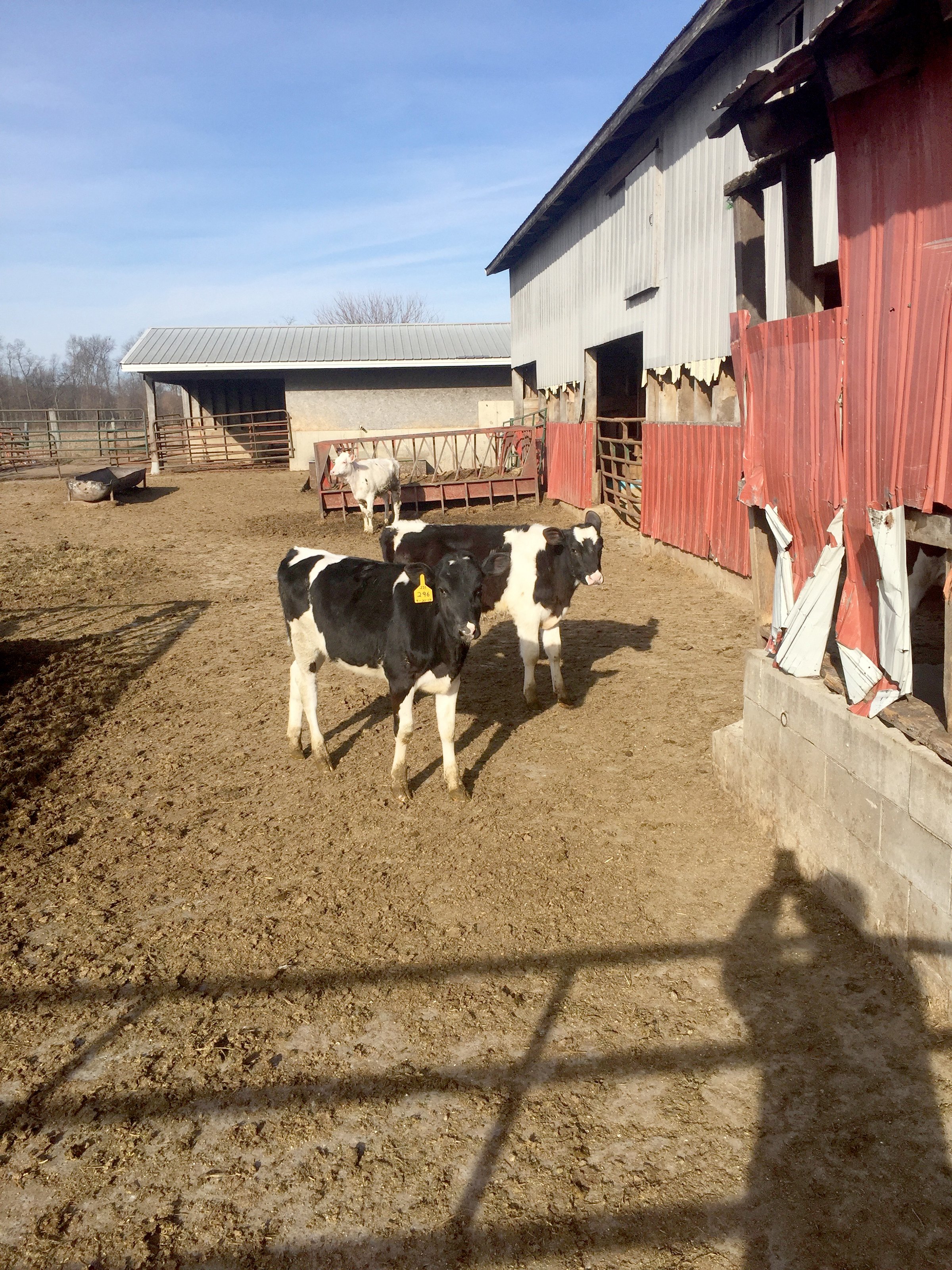 Property photo 13 - FARM EQUIPMENT AUCTION IN ST. JOSEPH COUNTY, MICHIGAN