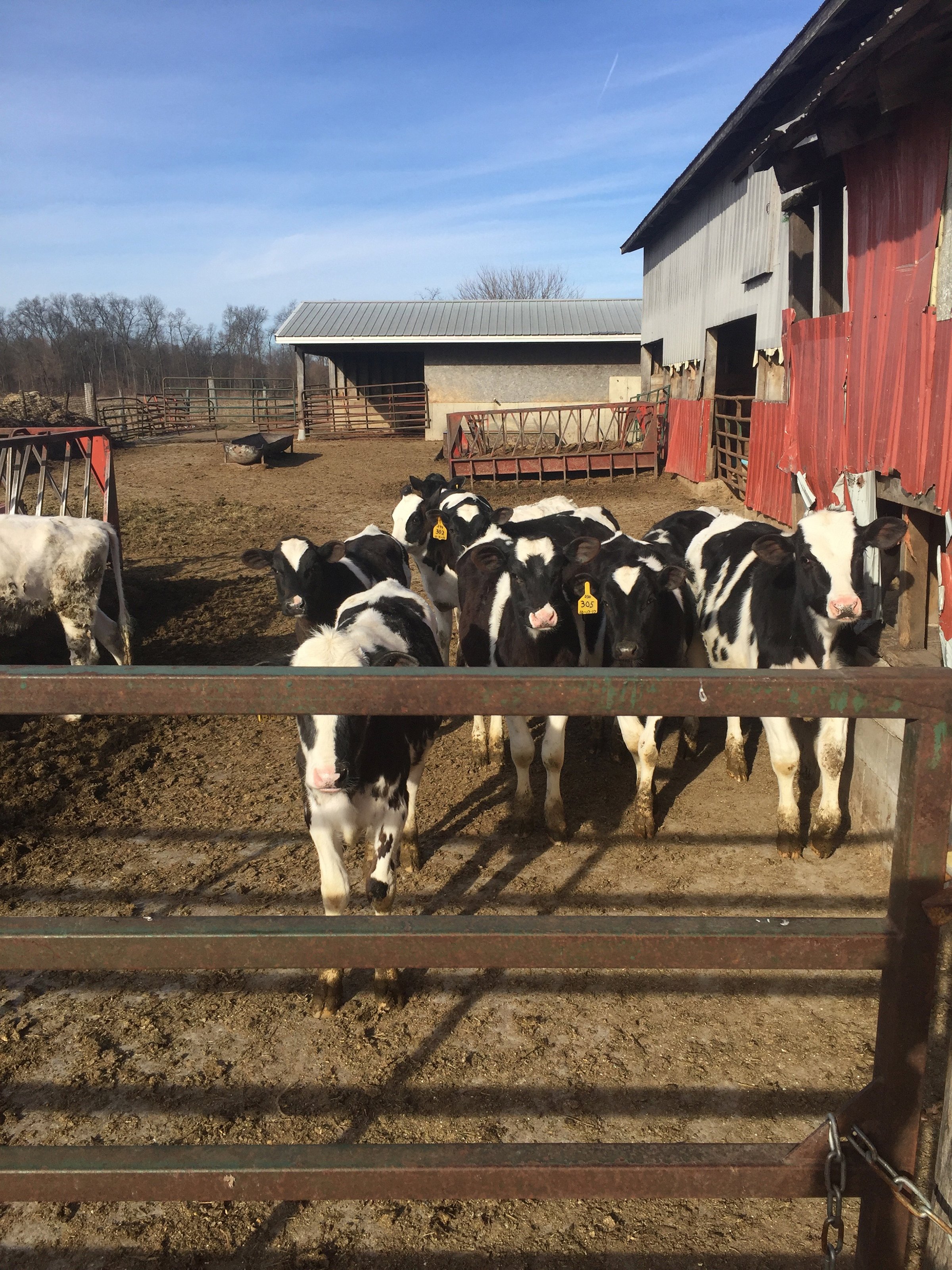 Property photo 20 - FARM EQUIPMENT AUCTION IN ST. JOSEPH COUNTY, MICHIGAN