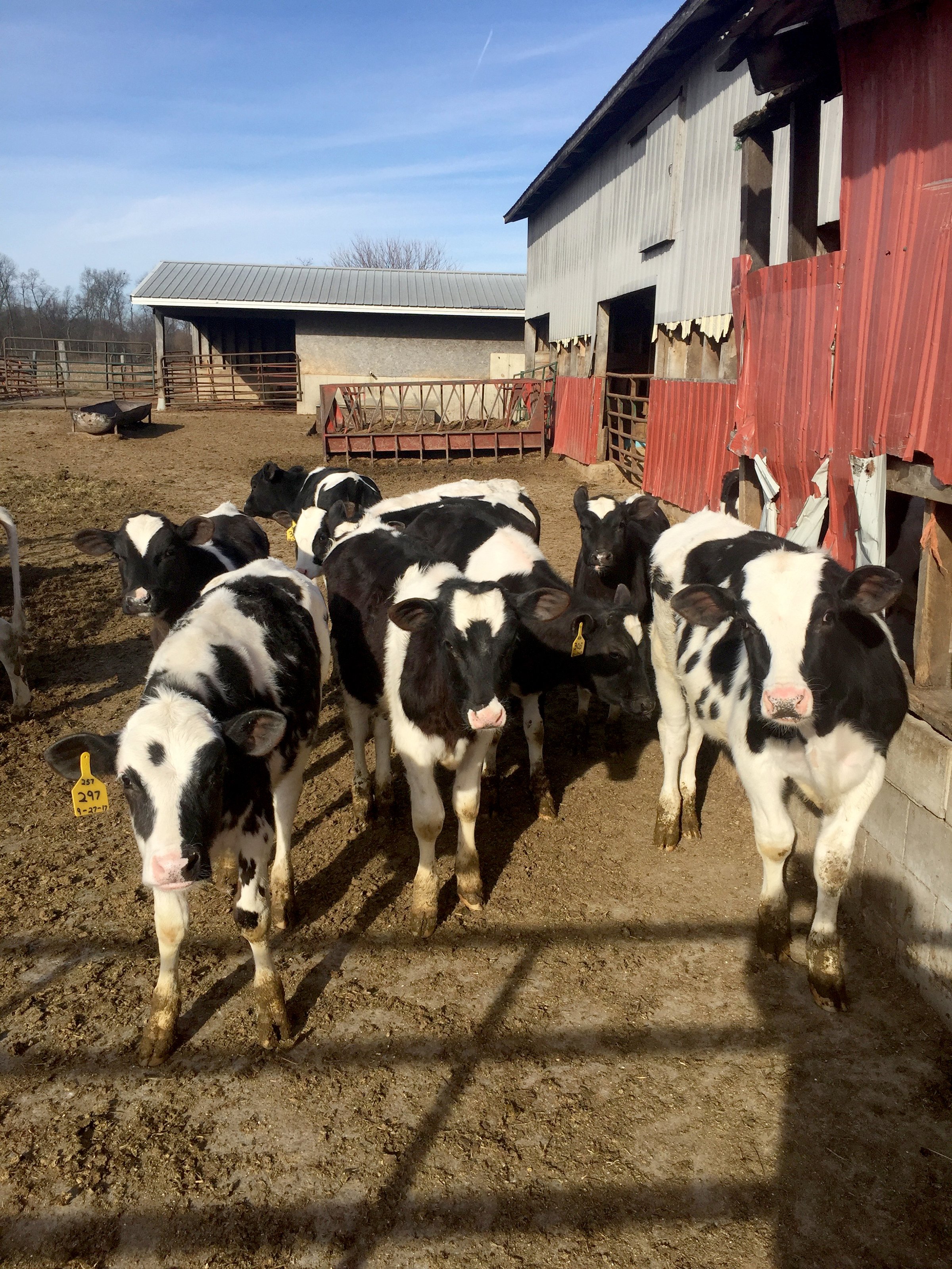 Property photo 24 - FARM EQUIPMENT AUCTION IN ST. JOSEPH COUNTY, MICHIGAN