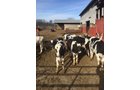 Property photo 16 - FARM EQUIPMENT AUCTION IN ST. JOSEPH COUNTY, MICHIGAN