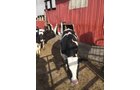 Property photo 17 - FARM EQUIPMENT AUCTION IN ST. JOSEPH COUNTY, MICHIGAN