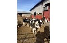 Property photo 19 - FARM EQUIPMENT AUCTION IN ST. JOSEPH COUNTY, MICHIGAN