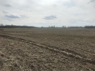 Property photo 7 - LAND AUCTION - 71+/- ACRES IN 2 TRACTS IN WILLIAMS COUNTY, OHIO