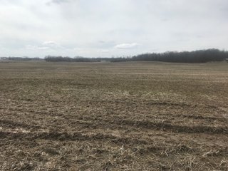 Property photo 2 - LAND AUCTION - 71+/- ACRES IN 2 TRACTS IN WILLIAMS COUNTY, OHIO