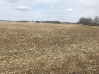 Property photo 4 - LAND AUCTION - 71+/- ACRES IN 2 TRACTS IN WILLIAMS COUNTY, OHIO
