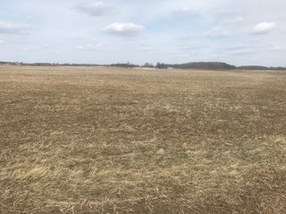 Property photo 5 - LAND AUCTION - 71+/- ACRES IN 2 TRACTS IN WILLIAMS COUNTY, OHIO
